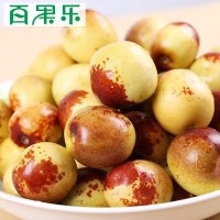 【產(chǎn)地直供】陜西大荔冬棗2/3/4斤包郵 現(xiàn)摘新鮮水果脆甜冬棗子