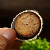 產地鹿茸碎片鹿鹿茸切片泡酒煮粥鹿場直供鹿茸現貨批發