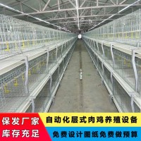 肉雞養殖全套設備雞籠自動上料自動清糞橫向加溫爐降溫風機包安裝