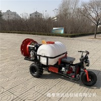 折疊桿玉米地滅蟲打藥車 柴油液壓三輪打藥機 駕乘式柴油噴霧機