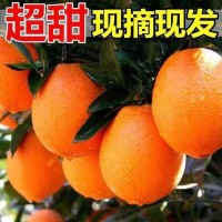 冰糖橙新鮮橙子10斤水果超甜手剝橙應季孕婦水果果凍橙整箱批發