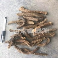 甘肅掌葉大黃分支大黃粉高含量獸用藥胃脹批發馬蹄大黃水根