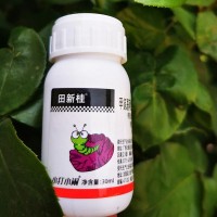 蔬菜果樹甜菜夜蛾鉆心吊絲蟲青蟲殺蟲劑農藥廠家量大從優殺蟲劑