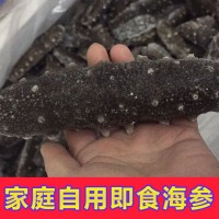 單凍即食海參批發 高壓即食抽真空海參 高回頭率送禮海參500g