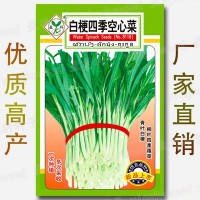 8克白梗四季空心菜種籽 青葉通菜藤藤菜柳葉通心菜 蔬菜種子批發