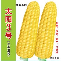 批發菜園蔬菜種子 泰系超甜玉米種子 太陽3號400克裝蔬菜基地菜籽