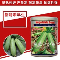 西葫蘆種子西葫蘆籽蔬菜種子批發菜種菜籽菜種子公司四季播種