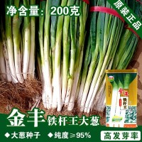 高白大蔥種子大蔥籽蔬菜種子批發菜種菜籽種子公司