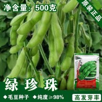 毛豆種子毛豆籽青黃豆種子蔬菜種子批發菜種菜籽種子公司