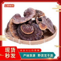 云南土特產中藥材滋補品 野靈芝 朵型完整煲湯食材250g批發