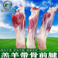 新鮮內(nèi)蒙羊前腱羊腿肉羊前小腿羊肉批發(fā)生羊腿羊棒骨燒烤火鍋冷凍