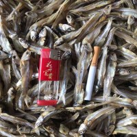 公干魚 深海小魚干 咸干 淡干 大量批發