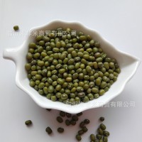 明綠豆批發笨綠豆綠豆粥湯原料散裝25kg五谷雜糧新綠豆