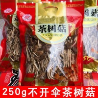 福建干茶樹菇批發茶樹菇茶樹菇干貨散裝原產地直銷批發 500g