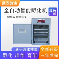 全自動(dòng)孵化機(jī) 智能家禽孵化機(jī) 大型控溫卵蛋器 大型工業(yè)卵蛋器