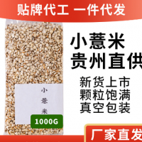 貴州薏米仁500G新貨1斤小薏米薏苡仁小薏米赤小豆茶批發一件代發