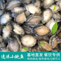 速凍鮑魚批發(fā)不帶殼冷凍小鮑魚肉 海鮮餐飲酒店海產(chǎn)品貝類廠家