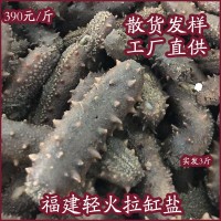 福建拉缸鹽海參魷魚小龍蝦煙臺特產鮮食遼參批發食品禮盒