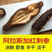 阿拉斯加紅刺參進口野生淡干拉鋼鹽半干海參冰鮮熟凍即食美國紅參