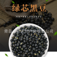 廠家直供黑皮綠仁烘炒黑豆-量大質(zhì)優(yōu)，出口品質(zhì)