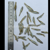 淡水魚干2-3cm小白條魚干飼料魚糧龜糧鳥糧倉(cāng)鼠水族飼料巴西龜糧