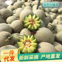 10斤包郵新疆哈密瓜25號新鮮應季當季水果整箱州蜜瓜西香甜網紋瓜