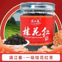 漓江春桂花紅茶 廣西花茶 龍脊紅茶 桂林特產(chǎn)茶飲