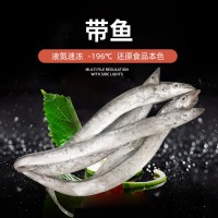 舟山東海雷達網(wǎng)小眼帶魚 大帶4兩-1斤套袋帶魚 批發(fā)海捕新鮮帶魚