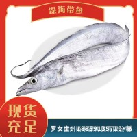 帶魚 海鮮 規(guī)格齊全 釣帶網(wǎng)帶 板凍條凍 新鮮現(xiàn)貨 可加工帶魚