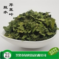 綠農食品供應 食品級脫水芹菜干 500g 芹菜葉 3*3等規格 量優  2袋起批