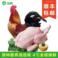 【一手三鳥】清遠散養太監土公雞閹雞整只新鮮現殺扇雞走地雞肉批  4斤起批