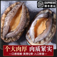 零售批發(fā)去內臟鮑魚鮮凍鮑魚鮮活海鮮海產大鮑魚新鮮冷凍海捕野生