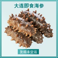 即食海參500g大連鮮活刺參遼特價貨海生海滲禮盒單個裝1斤