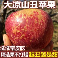 一件代發(fā) 四川大涼山丑蘋(píng)果冰糖心野生水果新鮮應(yīng)季超脆甜紅富士