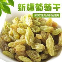 新疆特產無核大粒綠提子葡萄干休閑食品500克裝 葡萄干  2袋起批