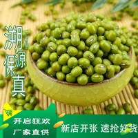 綠豆 大量批發散裝綠豆 發芽綠豆 五谷雜糧批發 一件代發