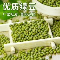 綠豆農家五谷雜糧發豆芽綠豆散裝解暑綠豆湯綠豆種子熬煮豆類 批發