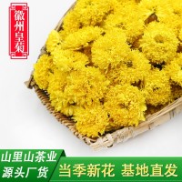 當季新花廠家直銷徽州皇菊批發散裝菊花茶婺源皇菊球菊休寧黃菊花