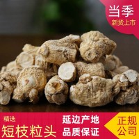 國產軟支西洋參粒頭 花旗參 3克粒頭 5克粒頭 7克粒頭 批發