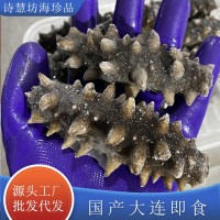 詩慧坊加工定制海參海產品源頭工廠國產大連即食海參支持批發代發