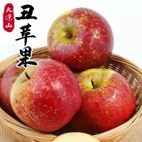 【大涼山鹽源丑蘋果】脆甜多汁 紅將軍紅富士禮盒8斤新鮮水果  2箱起批