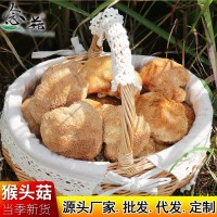 猴頭菇大貨批發 福建古田農家干貨美味煲湯猴頭菇散裝批發500g  2件起批