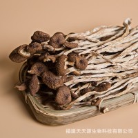 天天源 禮盒裝茶樹菇135g 古田干貨茶樹菇煲湯食材菌菇類香菇批發