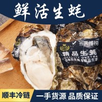 山東乳山帶殼新鮮生蠔500g鮮活牡蠣海鮮批發(fā)海蠣子代發(fā)廠家