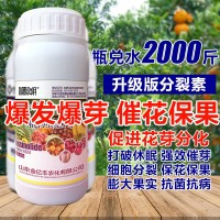 1000毫升多肉植物細胞分裂素催芽劑促花促生長保花保果葉面肥正品