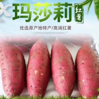 日本瑪莎莉紅薯高端品種紅皮黃肉現(xiàn)挖現(xiàn)賣老少皆宜