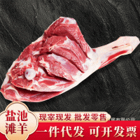 寧夏灘羊肉羊后腿 羊肉串羊小腿餐飲燒烤涮新鮮羊肉食材