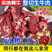 本地散養新鮮黃牛生牛肉牛碎肉冷凍商用冷凍大塊碎牛肉批發牛肉塊