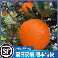 云陽紐荷爾新鮮水果臍橙維C橙子批發廣柑5斤整箱現摘應季臍橙現貨