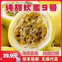 海南欽蜜9號黃金百香果 新鮮西番蓮當(dāng)季水果甜果黃果代發(fā)